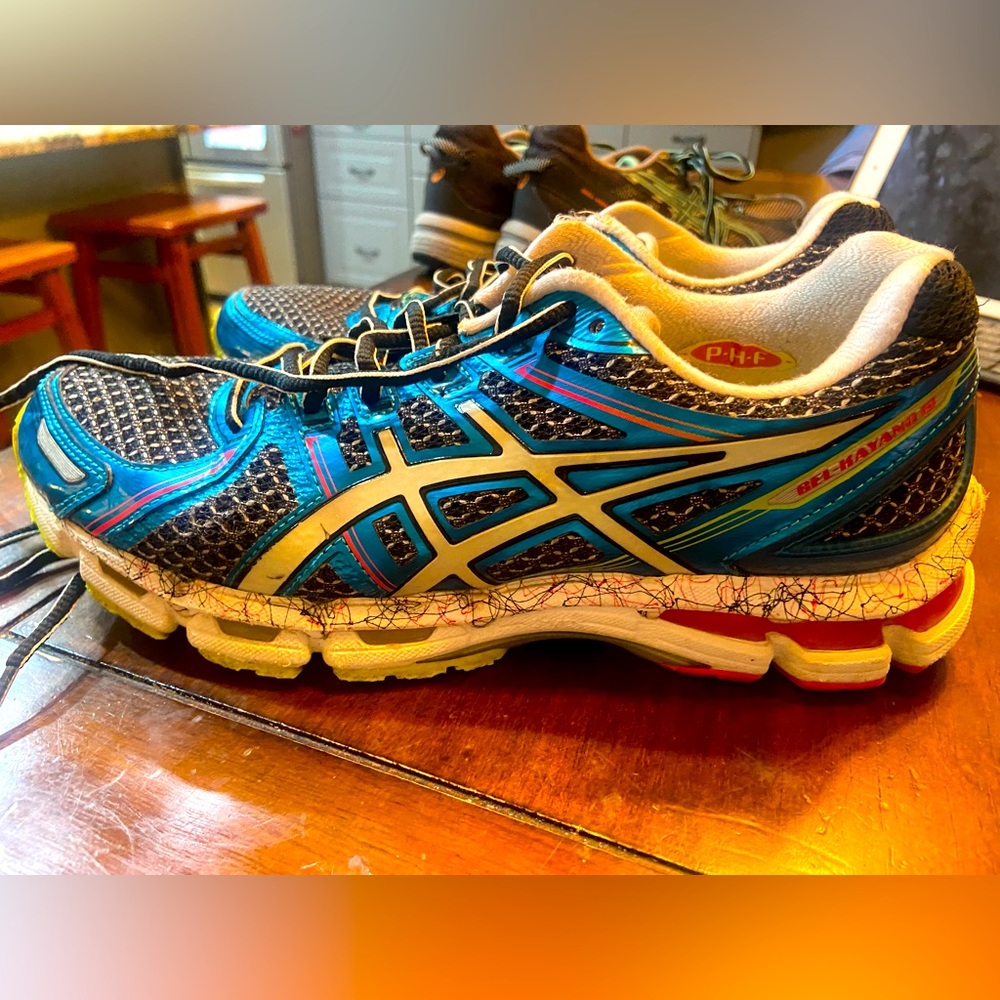 ASICS Gel Kayano 19
